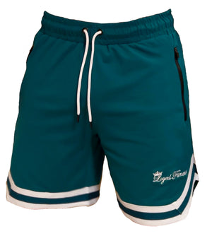Aqua V-Shorts